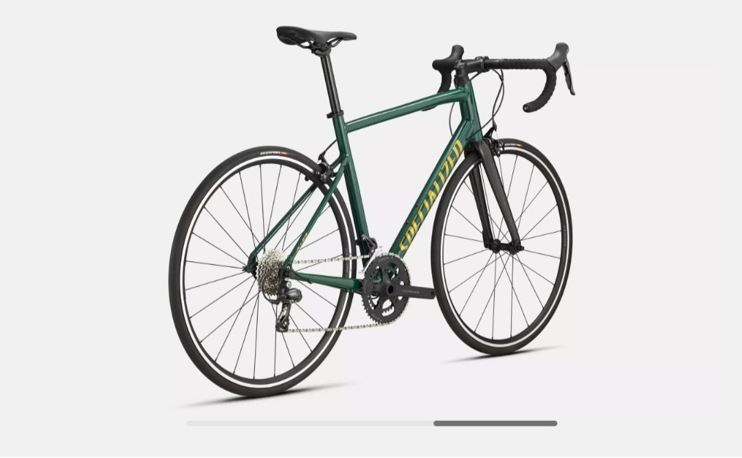 SPECIALIZED. Allez E5 Sport- gloss pine/metallic gold/carbon