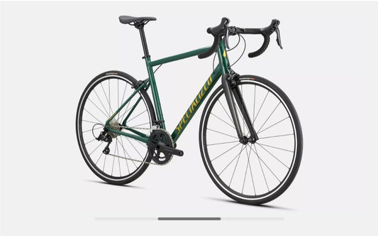 SPECIALIZED. Allez E5 Sport- gloss pine/metallic gold/carbon