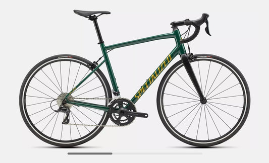 SPECIALIZED. Allez E5 Sport- gloss pine/metallic gold/carbon